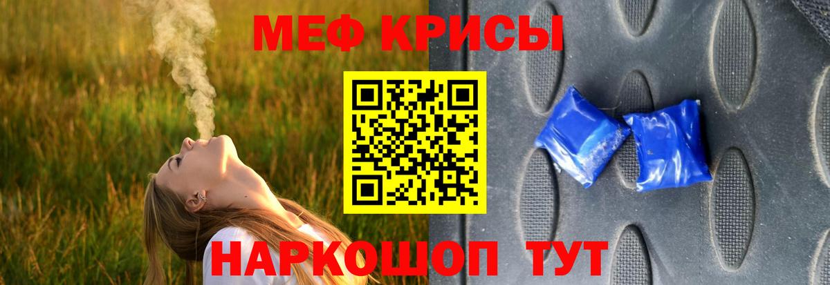 МЕФ  Новозыбков