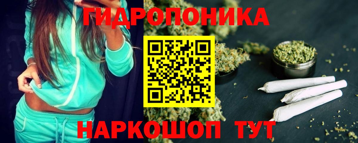 МАРИХУАНА гибрид  Бошки Шишки AK-47  Вход с VPN  Новозыбков  Бошки Шишки SATIVA & INDICA  Бошки Шишки сатива 